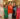 Amana Gelb, Debby Leighton, Susan Hansen, Mary Maxie, Lucy Lewis