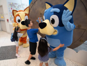 Bluey 14