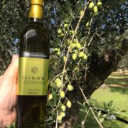 Iliada Olive Oil with Olive Tree
