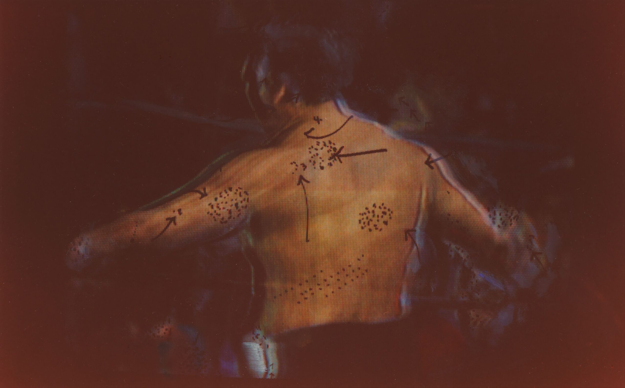 Howardena Pindell, Tokyo TV #6 (Sumo Wrestler), 1975