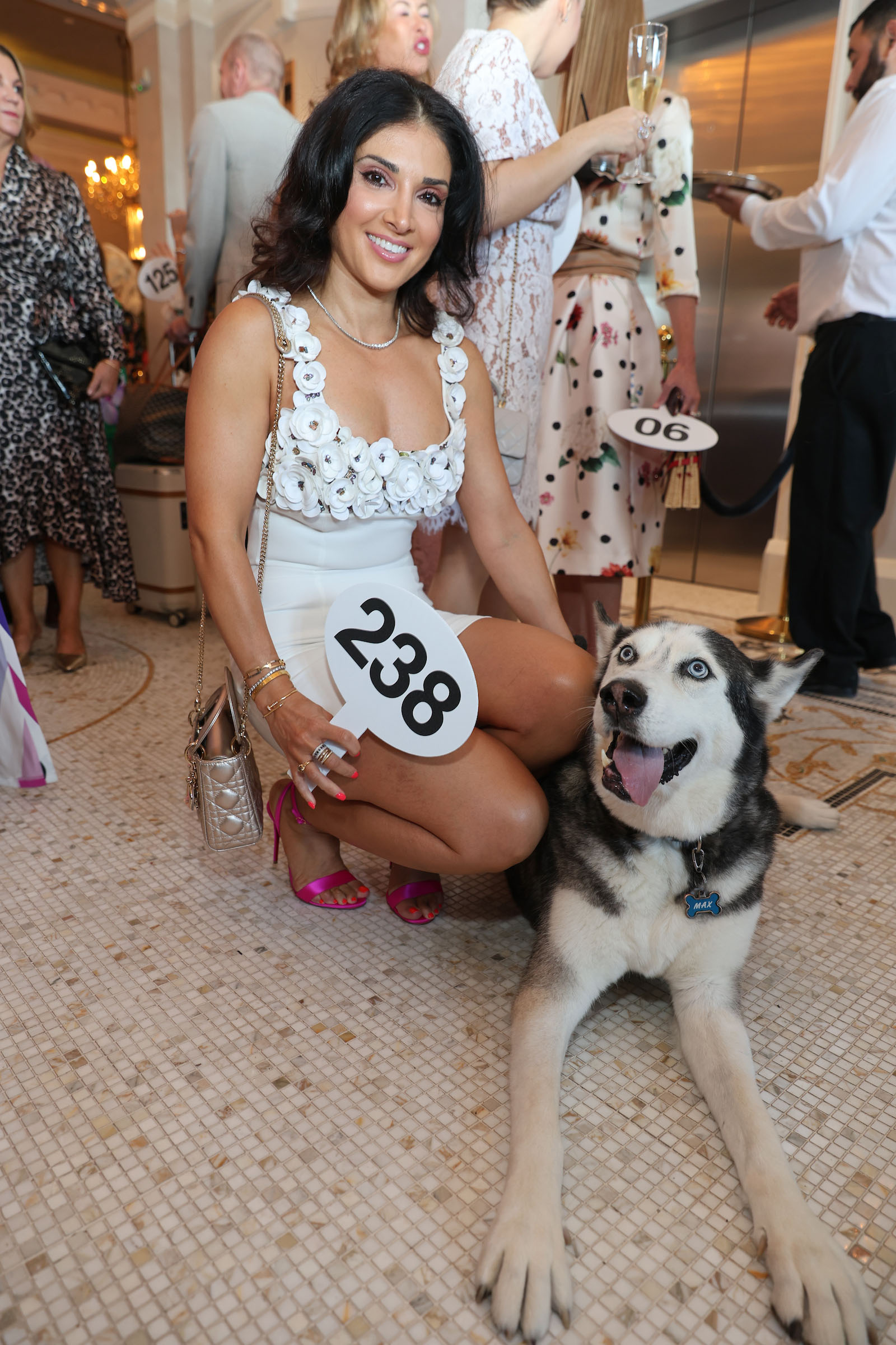Shima Zangeneh, Max the Htown Husky