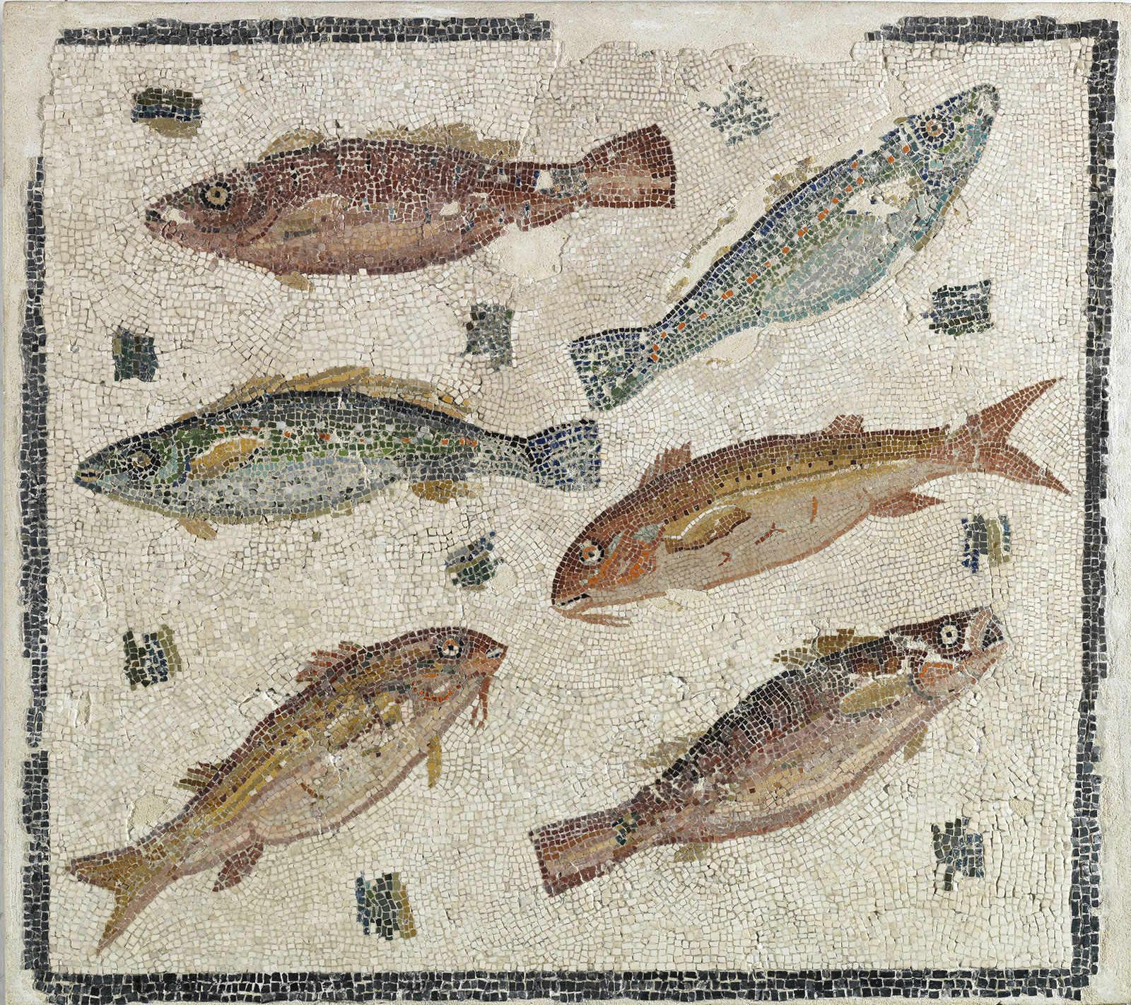 06 Mosaic Pavement with Fish