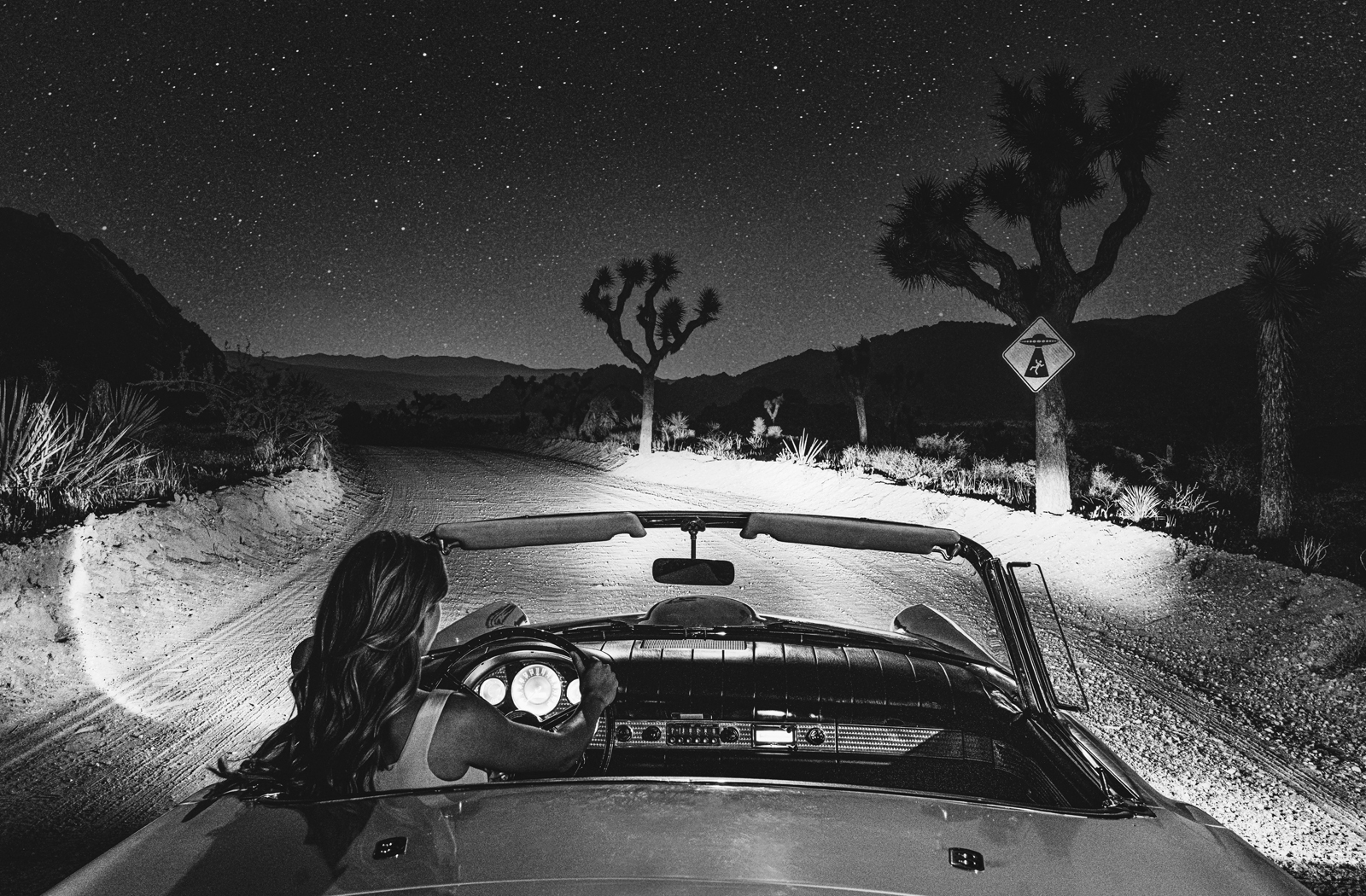 Cosmic Cruise