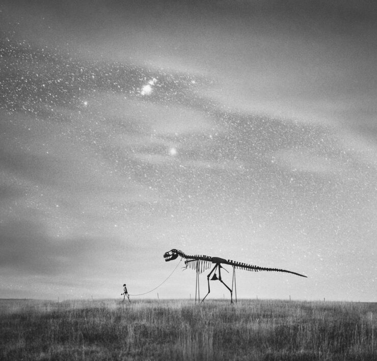Midnight Rex