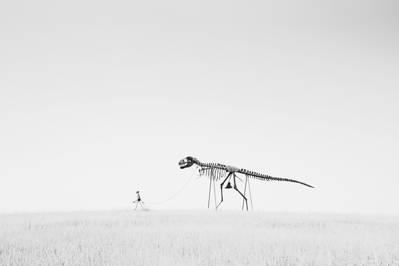 Rex