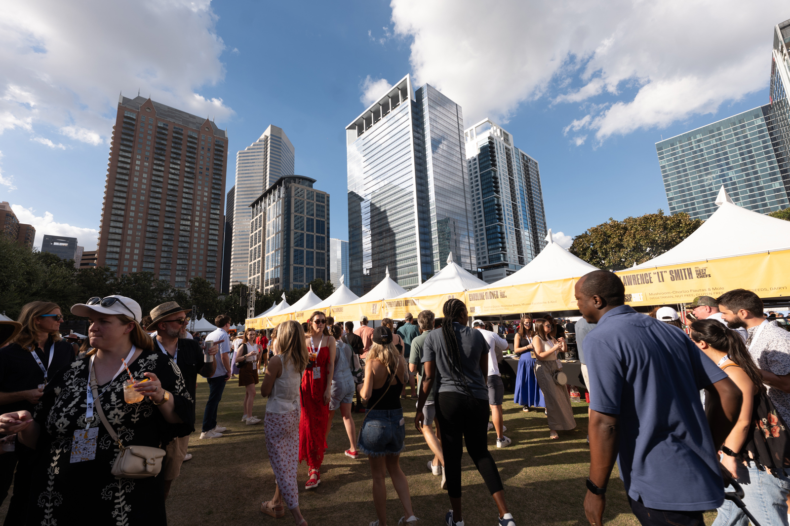 Lawn and Downtown Houston credit Daniel Ortiz