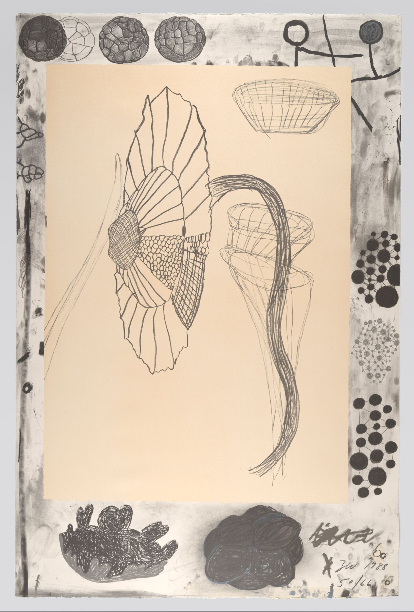 Terry Winters, Marginalia, 1988