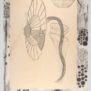 Terry Winters, Marginalia, 1988