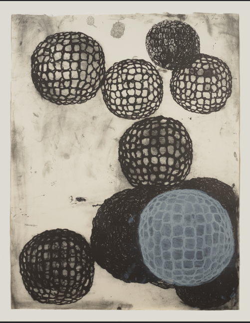Terry Winters, Morula III, 1983 84