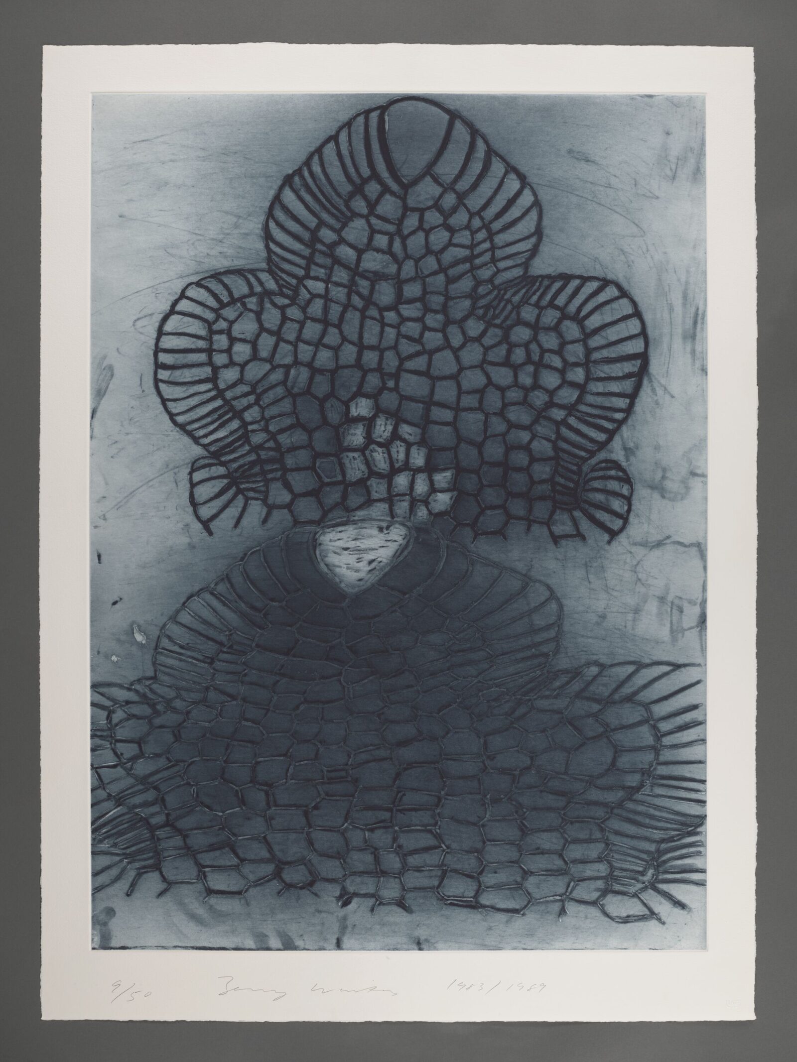 Terry Winters, Novalis, 1983 89