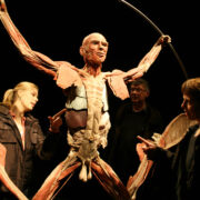 Body Worlds Inside Life Leonardo 3