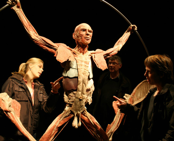 Body Worlds Inside Life Leonardo 3