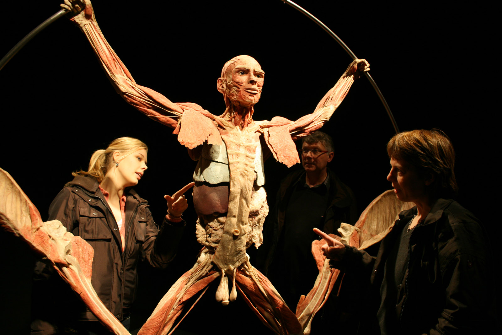 Body Worlds Inside Life Leonardo 3
